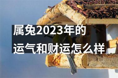 属兔2023年的运气和财运怎么样