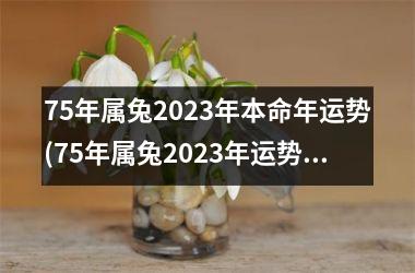 75年属兔2023年本命年运势(75年属兔2023年运势及运程每月运程)