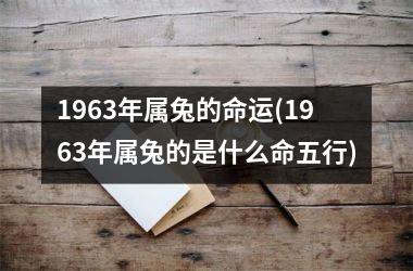1963年属兔的命运(1963年属兔的是什么命五行)