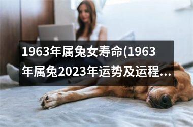 1963年属兔女寿命(1963年属兔2023年运势及运程男性)