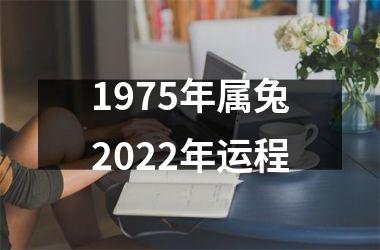 1975年属兔2025年运程