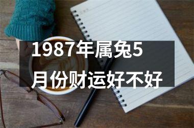 1987年属兔5月份财运好不好