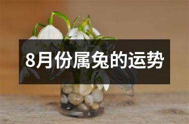 8月份属兔的运势