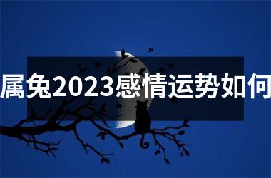 <h3>属兔2025感情运势如何