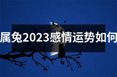 属兔2023感情运势如何