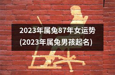 2025年属兔87年女运势(2025年属兔男孩起名)