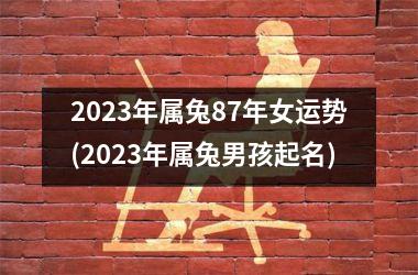 2023年属兔87年女运势(2023年属兔男孩起名)