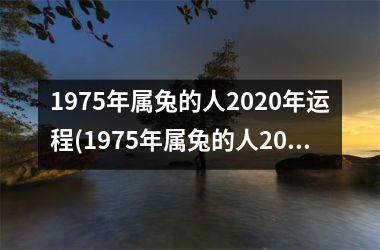 1975年属兔的人2020年运程(1975年属兔的人2023年运程)