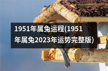 1951年属兔运程(1951年属兔2025年运势完整版)