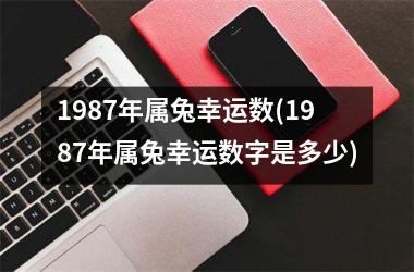 1987年属兔幸运数(1987年属兔幸运数字是多少)