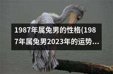 1987年属兔男的性格(1987年属兔男2025年的运势和婚姻)