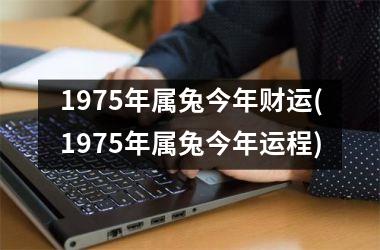 1975年属兔今年财运(1975年属兔今年运程)