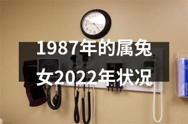 1987年的属兔女2022年状况