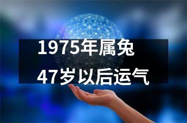 1975年属兔47岁以后运气