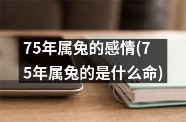 75年属兔的感情(75年属兔的是什么命)