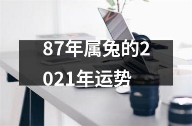 87年属兔的2025年运势