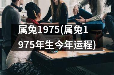 属兔1975(属兔1975年生今年运程)