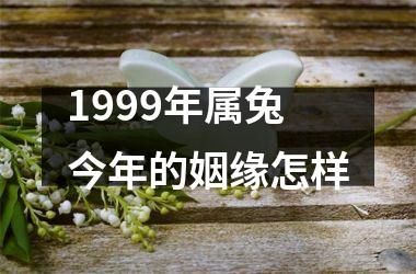 1999年属兔今年的姻缘怎样