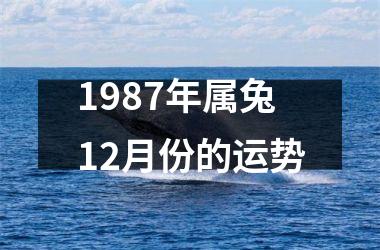 1987年属兔12月份的运势