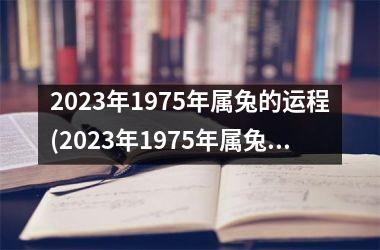 2025年1975年属兔的运程(2025年1975年属兔人的全年运势女性)