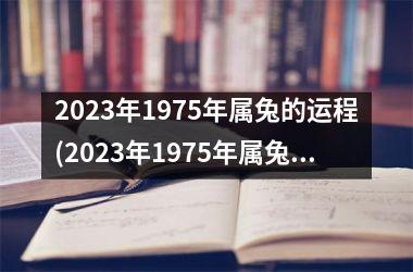 2023年1975年属兔的运程(2023年1975年属兔人的全年运势女性)