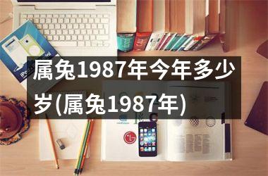 属兔1987年今年多少岁(属兔1987年)