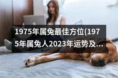 1975年属兔最佳方位(1975年属兔人2023年运势及运程)