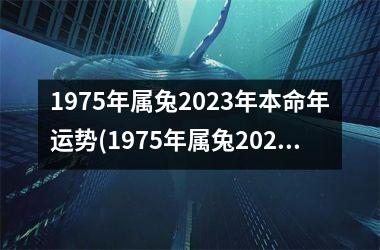 1975年属兔2025年本命年运势(1975年属兔2025年运势及运程每月运程)