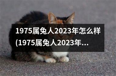 1975属兔人2025年怎么样(1975属兔人2025年运势及运程每月运程)