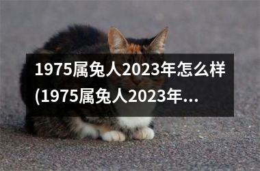 1975属兔人2023年怎么样(1975属兔人2023年运势及运程每月运程)