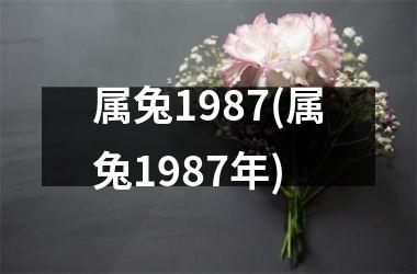 属兔1987(属兔1987年)