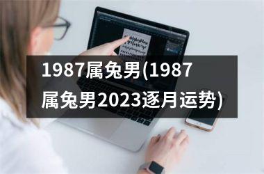 <h3>1987属兔男(1987属兔男2023逐月运势)