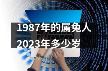 1987年的属兔人2023年多少岁