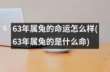 63年属兔的命运怎么样(63年属兔的是什么命)