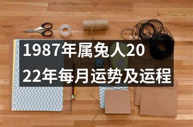 1987年属兔人2022年每月运势及运程