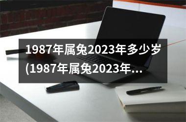 1987年属兔2023年多少岁(1987年属兔2023年多大)