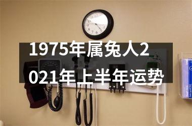 1975年属兔人2021年上半年运势