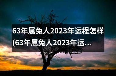 63年属兔人2023年运程怎样(63年属兔人2023年运势运程每月运程)