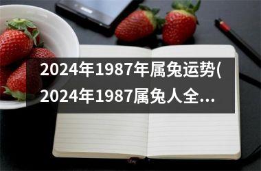 2024年1987年属兔运势(2024年1987属兔人全年运势)