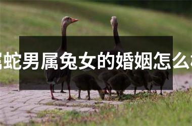属蛇男属兔女的婚姻怎么样