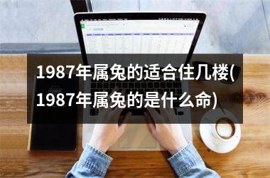 1987年属兔的适合住几楼(1987年属兔的是什么命)