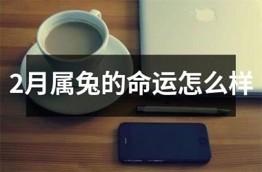 2月属兔的命运怎么样