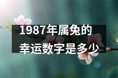 1987年属兔的幸运数字是多少