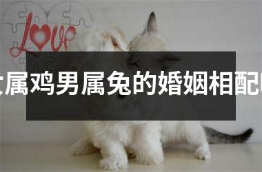 女属鸡男属兔的婚姻相配吗