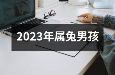 2023年属兔男孩