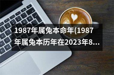 1987年属兔本命年(1987年属兔本历年在2023年8月份结婚好吗)