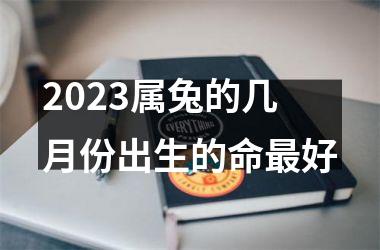 2023属兔的几月份出生的命最好