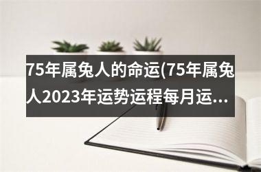 75年属兔人的命运(75年属兔人2023年运势运程每月运程)