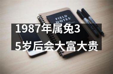 1987年属兔35岁后会大富大贵