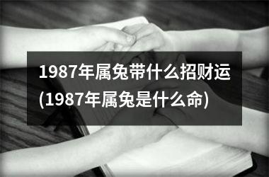 1987年属兔带什么招财运(1987年属兔是什么命)